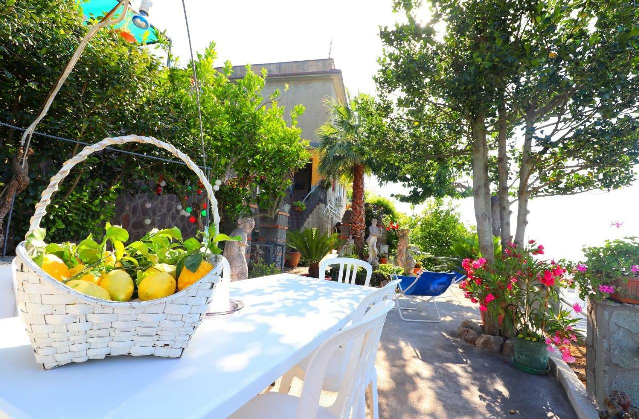 La Rosa Del Sud Sorrento Exterior foto